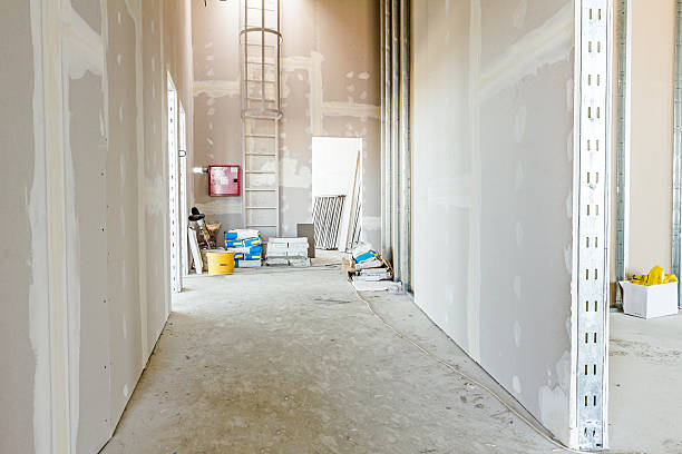 Best Fire-Damaged Drywall Repair  in West Van Lear, KY